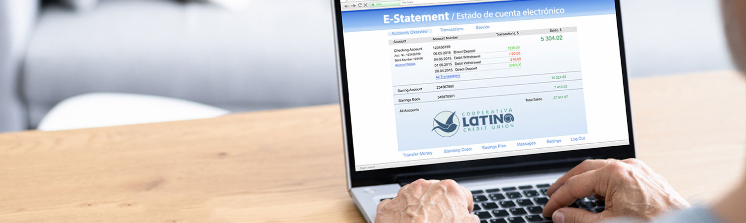 E-Statements showing on Computer